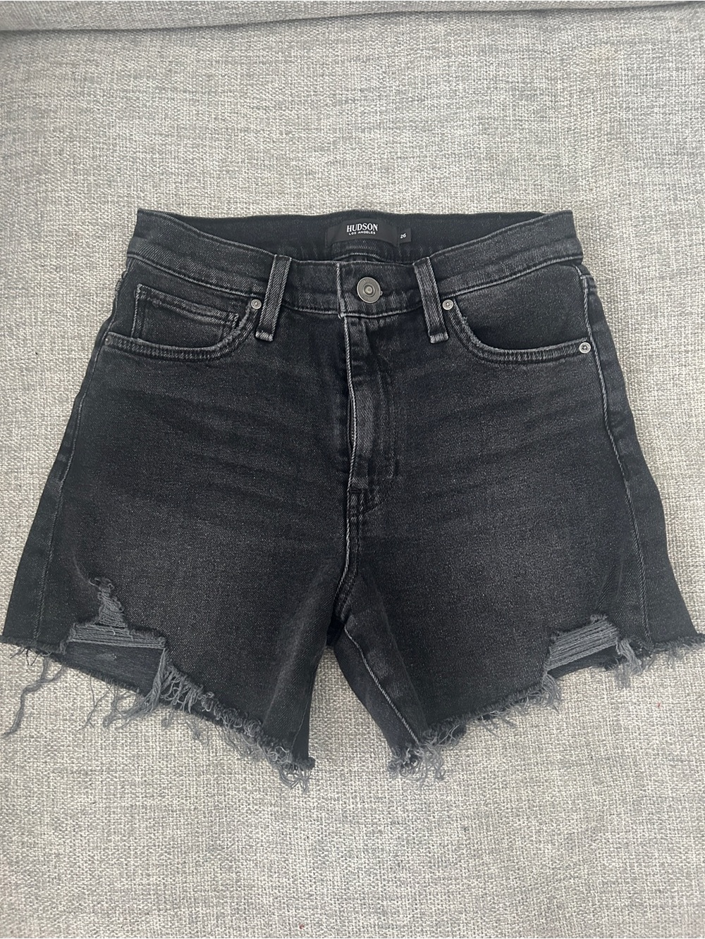 Hudson Devon shorts